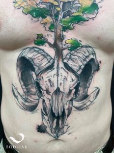 Tetování ve stylu watercolor. Motiv zvířata. Velká kérka.