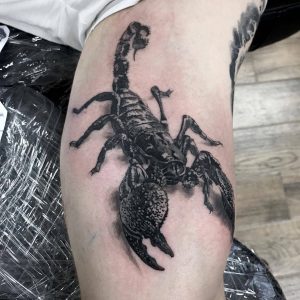 Tetování ve stylu black and grey, realistic. Motiv zvířata. Střední kérka. Tetoval Martin Hanzi.