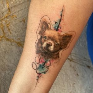 Tetování ve stylu realistic, watercolor. Motiv zvířata. Malá kérka. Tetovala Šárka Ink.