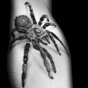 Tetování ve stylu black and grey, realistic. Motiv zvířata. Malá kérka.