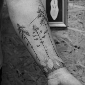 Tetování ve stylu blackwork, dotwork. Motiv příroda. Střední kérka.