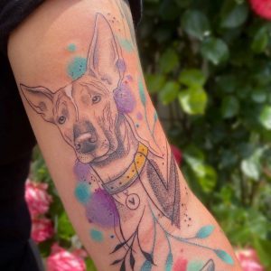 Tetování ve stylu watercolor. Motiv zvířata. Střední kérka. Tetovala Bublina.
