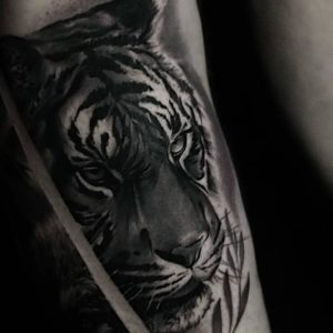 Tetování ve stylu black and grey, realistic. Motiv zvířata. Střední kérka. Tetoval Lukash.
