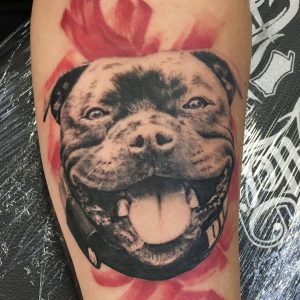 Tetování ve stylu black and grey, realistic. Motiv zvířata. Malá kérka. Tetoval Peter Zamiška.