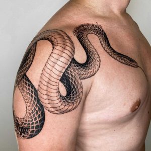 Tetování ve stylu blackwork, dotwork. Motiv zvířata. Střední kérka. Tetoval Janko.